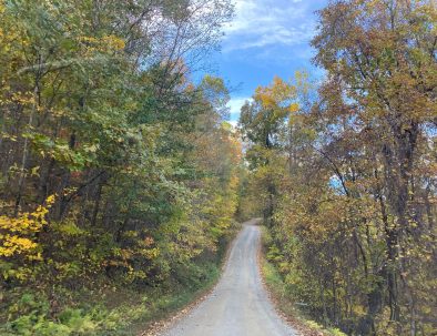 Road up to Cabin