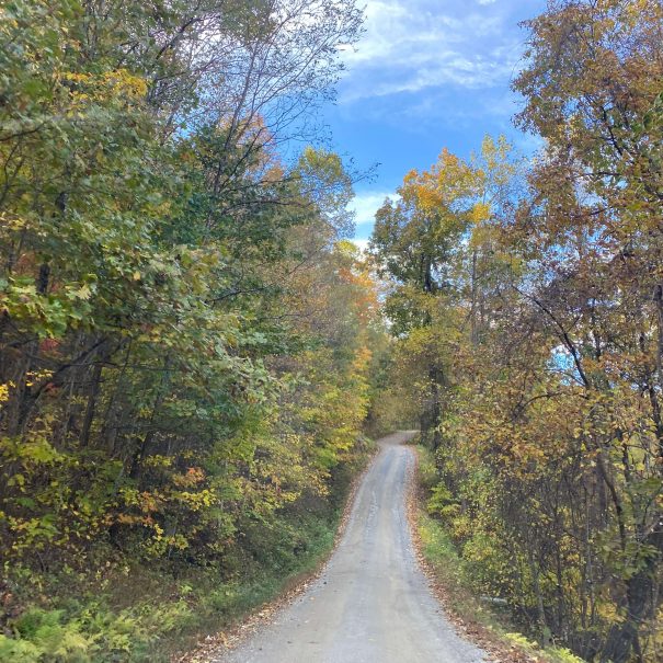 Road up to Cabin