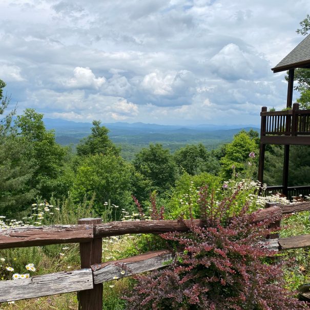 View from side of house